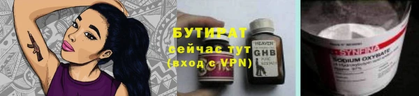 индика Арсеньев