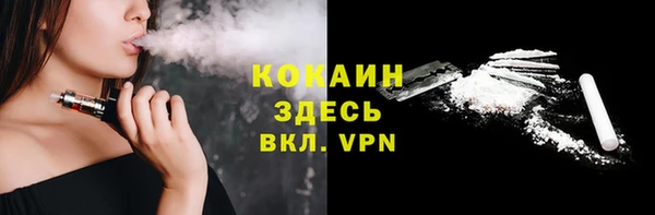 гидра Алексин
