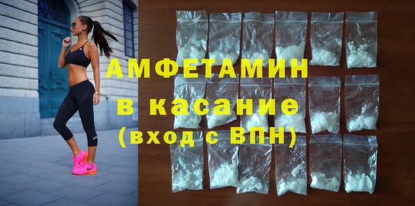 индика Арсеньев