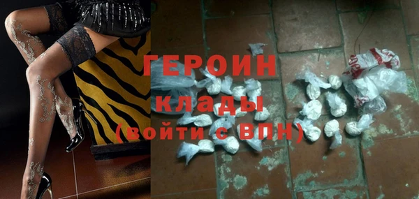 индика Арсеньев