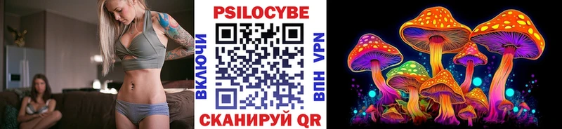 гидра ссылки  Дорогобуж  Галлюциногенные грибы Psilocybine cubensis  закладка 